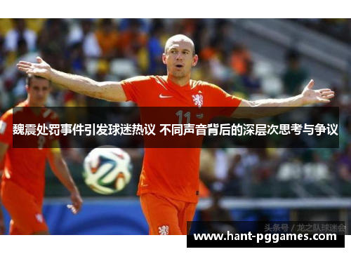 魏震处罚事件引发球迷热议 不同声音背后的深层次思考与争议